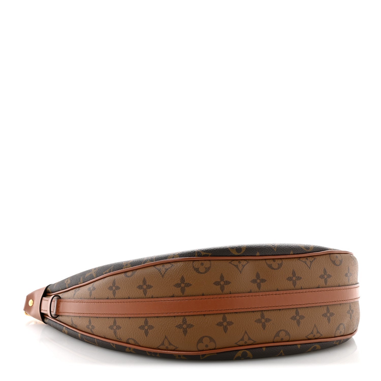 Louis Vuitton Reverse Monogram Loop Hobo