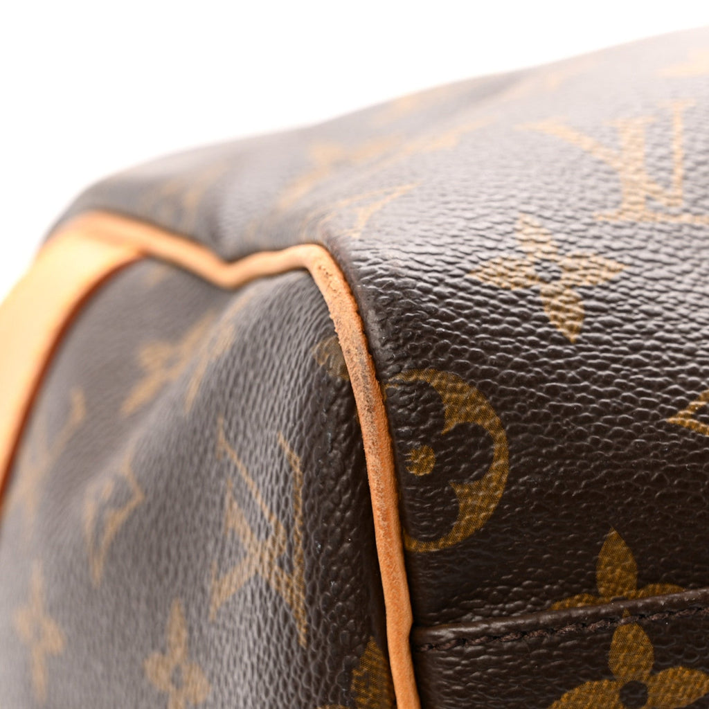 Louis Vuitton Monogram Carryall