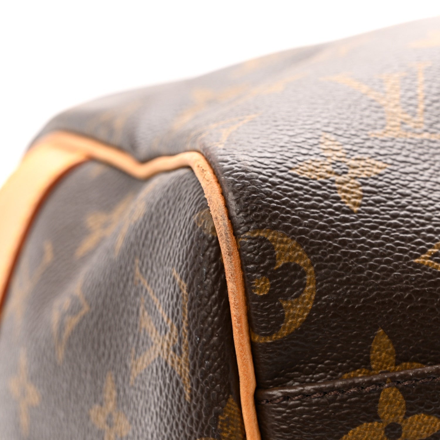 Louis Vuitton Monogram Carryall