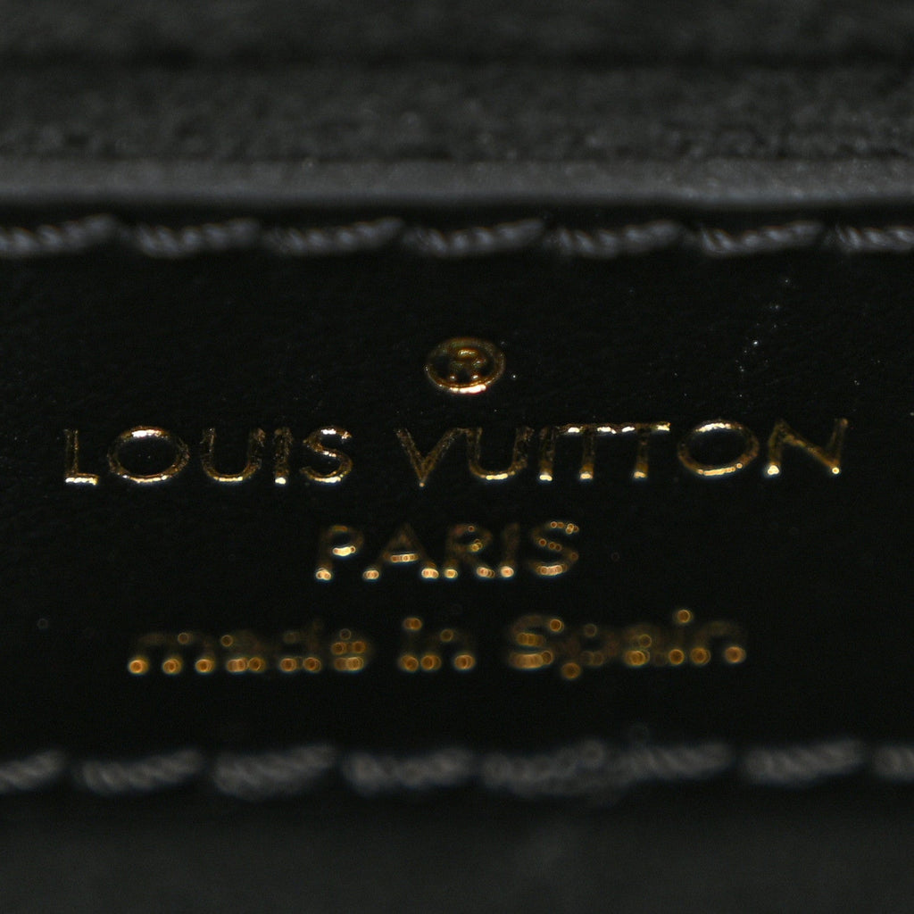 Louis Vuitton Reverse Monogram Camera Box NM