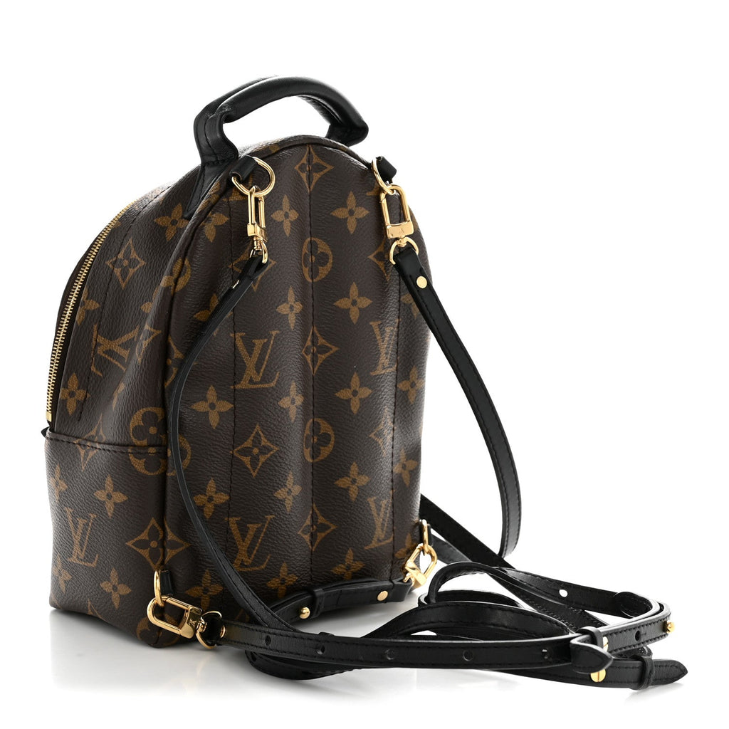 Louis Vuitton Monogram Palm Springs Backpack Mini