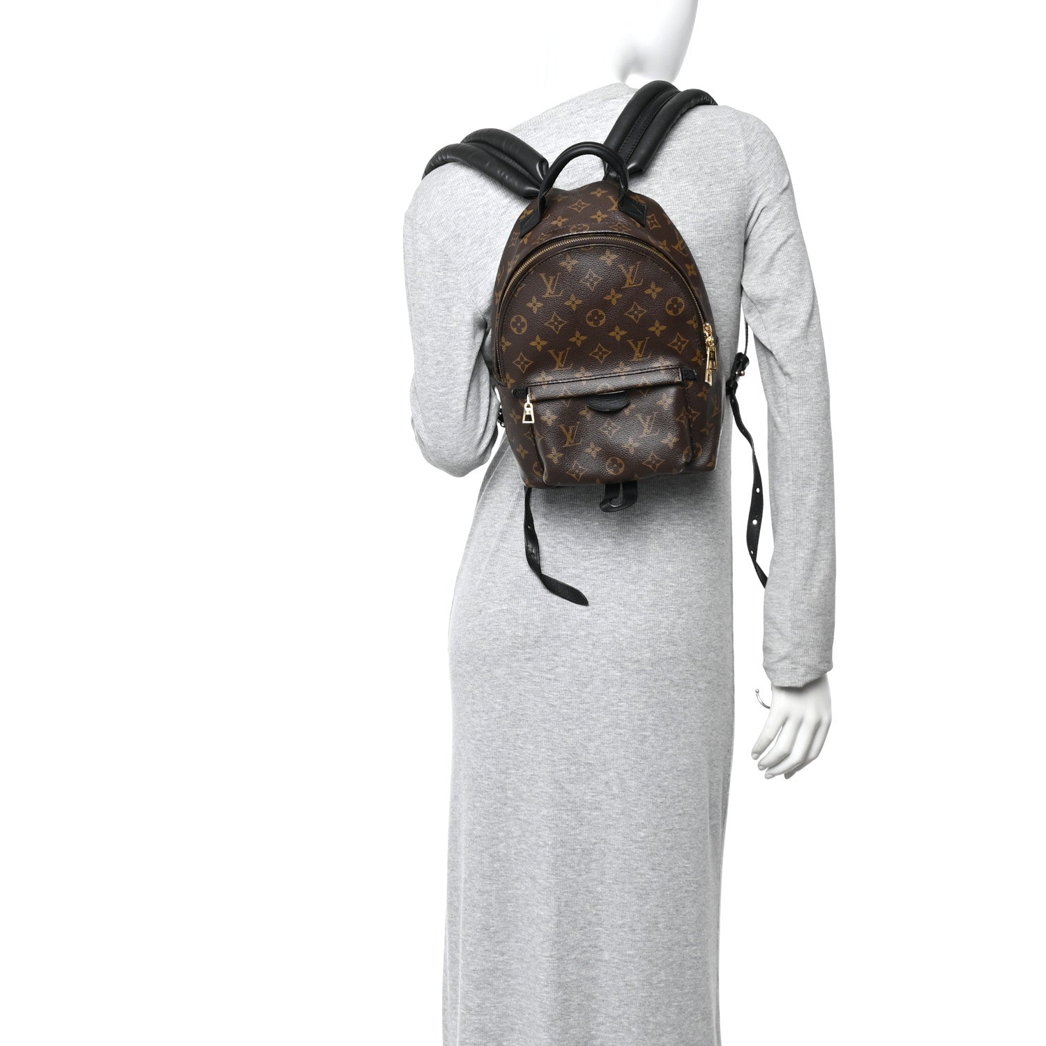 Louis Vuitton Monogram Palm Springs Backpack PM