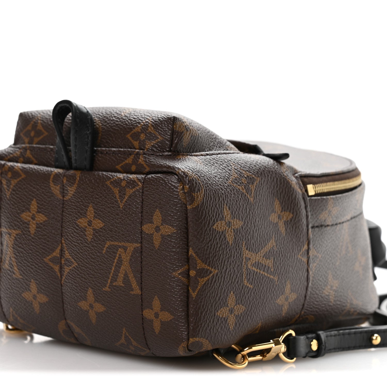 Louis Vuitton Monogram Palm Springs Backpack Mini