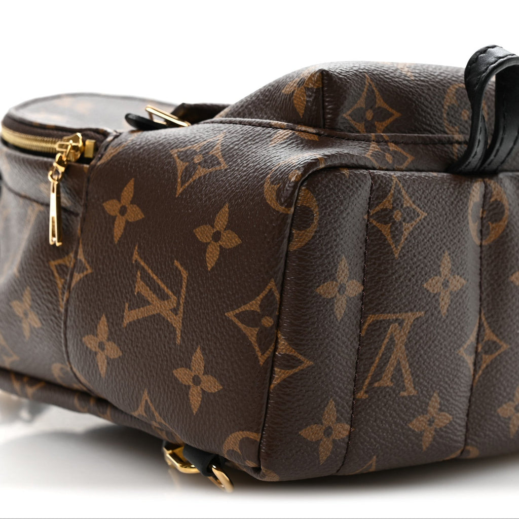 Louis Vuitton Monogram Palm Springs Backpack Mini