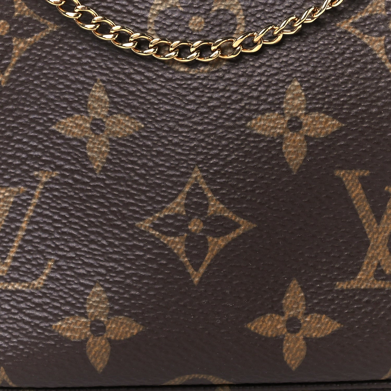 Louis Vuitton Monogram Mini Pochette Accessories
