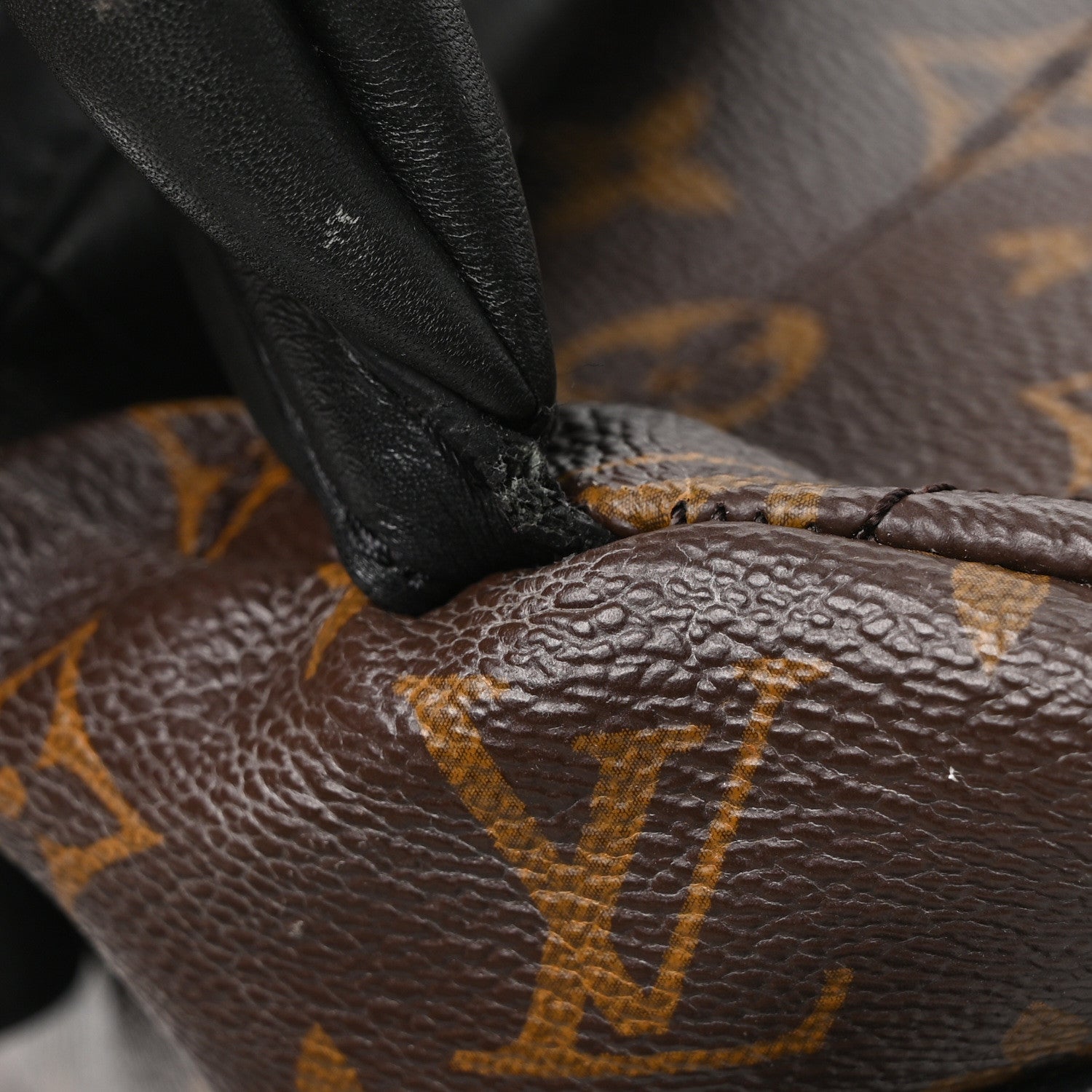 Louis Vuitton Monogram Palm Springs Backpack MM