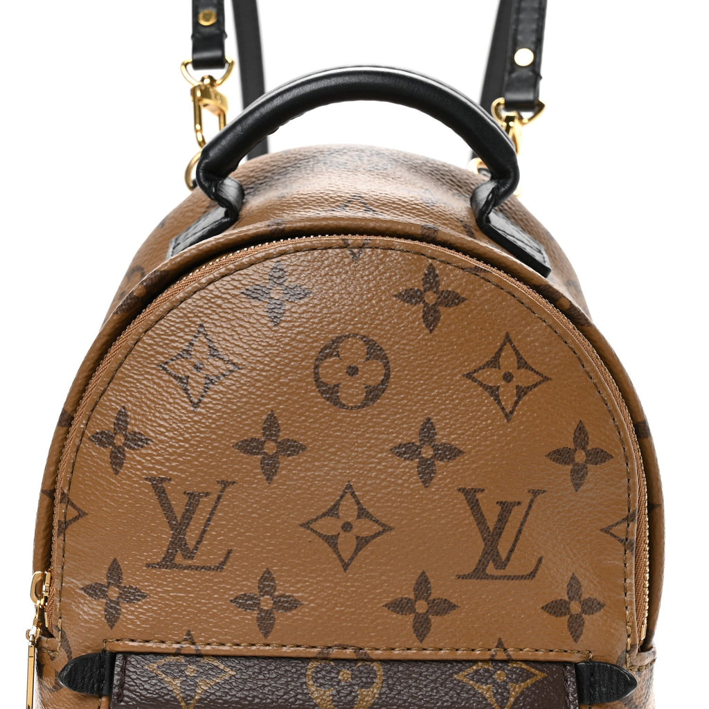 Louis Vuitton Reverse Monogram Palm Springs Backpack Mini