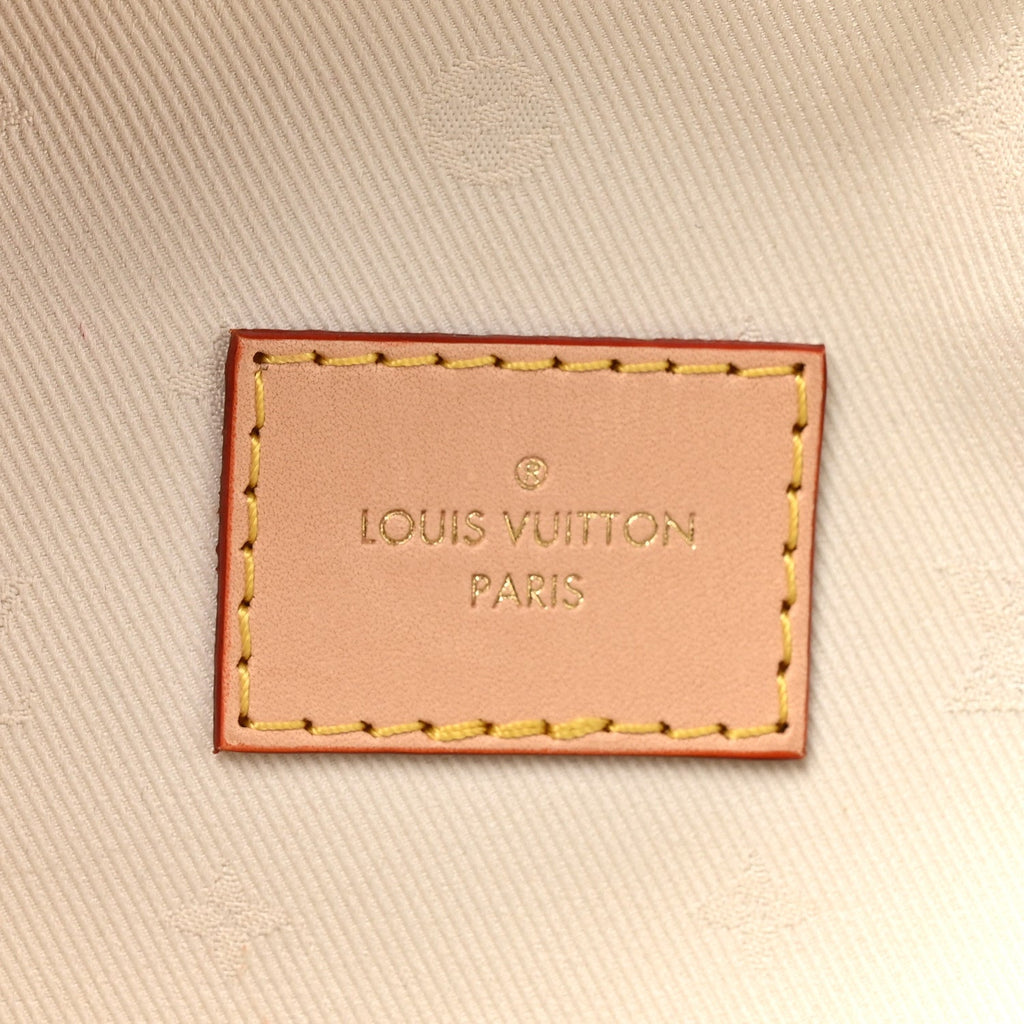 Louis Vuitton Monogram High Rise Bumbag