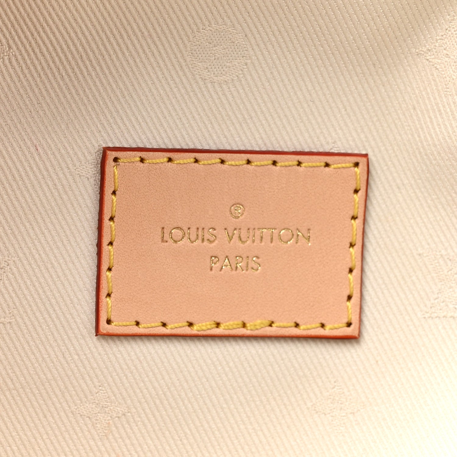Louis Vuitton Monogram High Rise Bumbag
