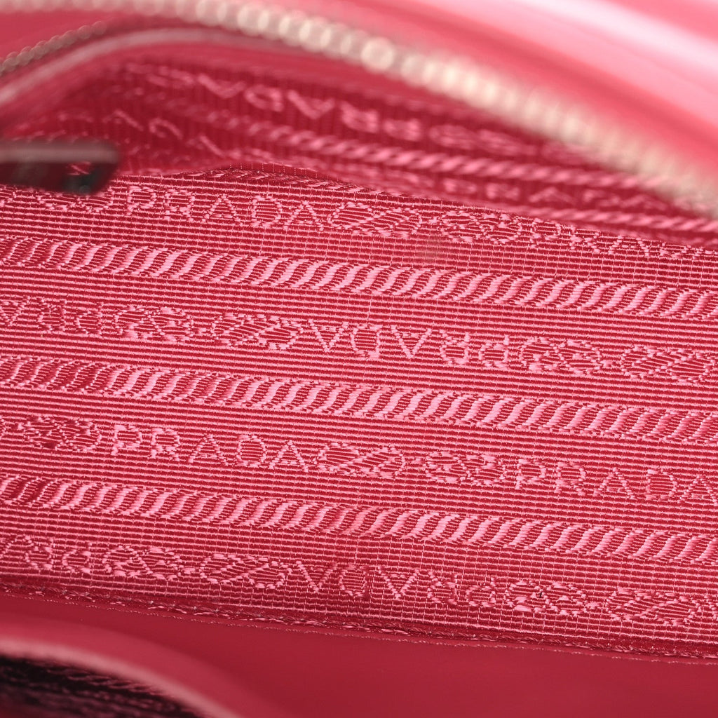 Prada Soft Calfskin Diagramme Camera Bag Peonia