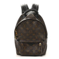 Louis Vuitton Monogram Palm Springs Backpack PM