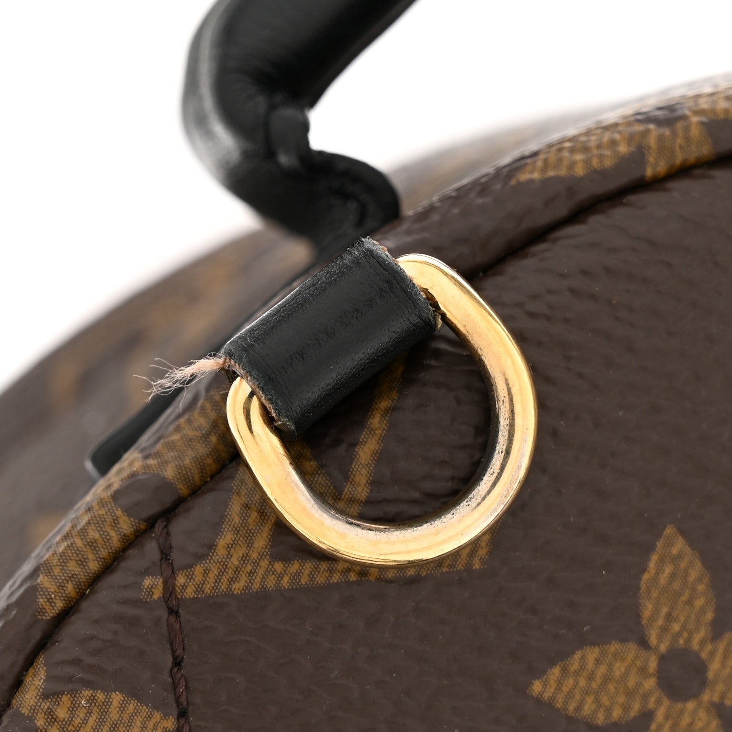 Louis Vuitton Monogram Palm Springs Backpack Mini