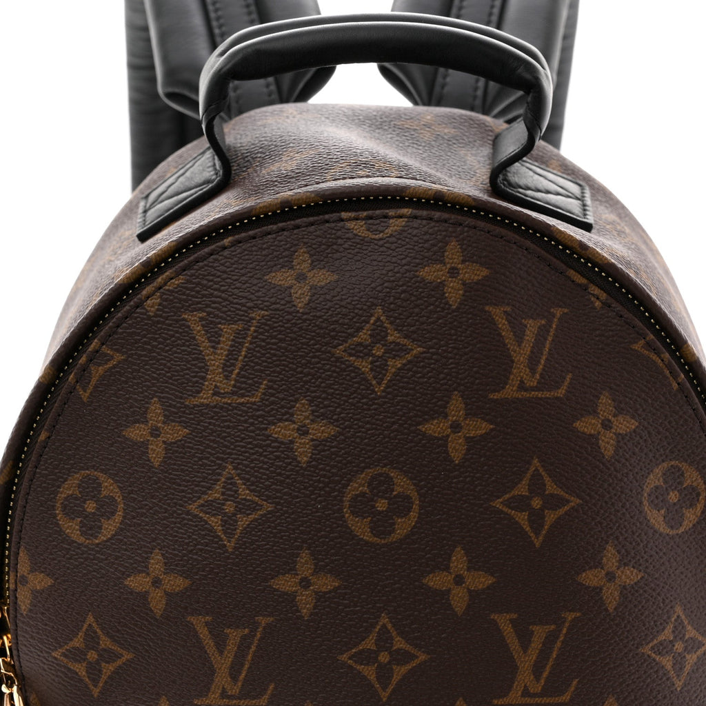 Louis Vuitton Reverse Monogram Palm Springs Backpack PM