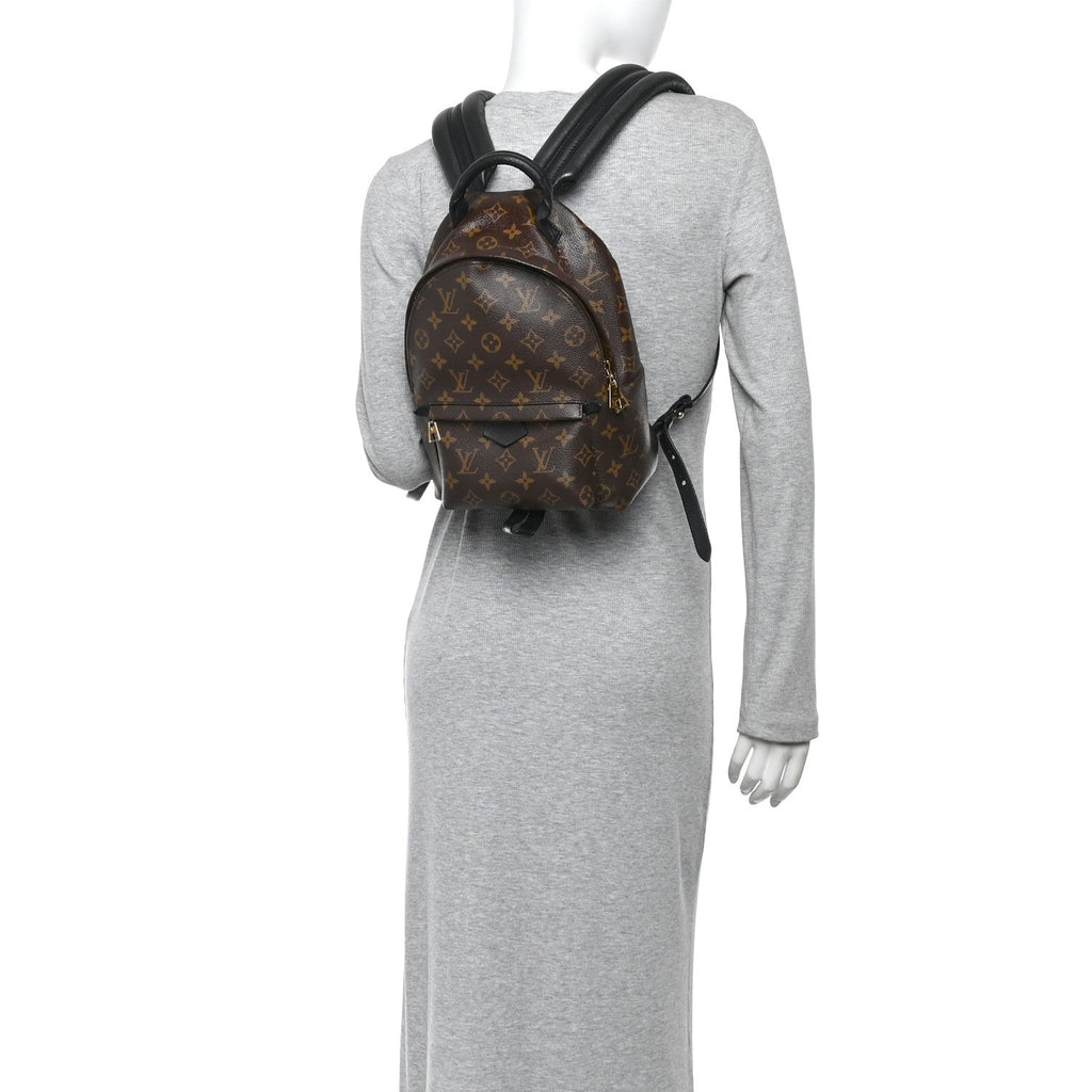 Louis Vuitton Monogram Palm Springs Backpack PM