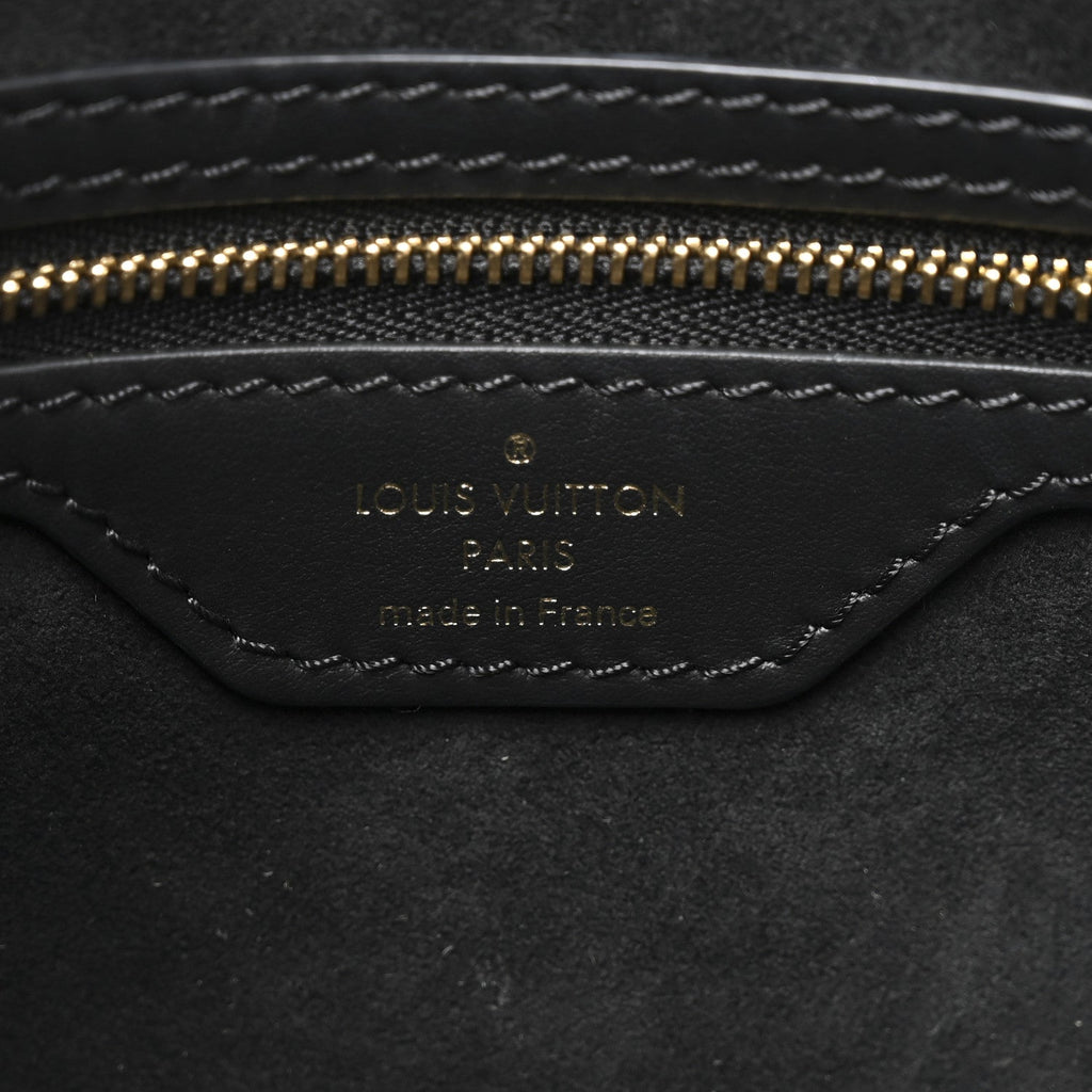 Louis Vuitton Reverse Monogram Twinny