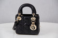 Dior Bags - 234