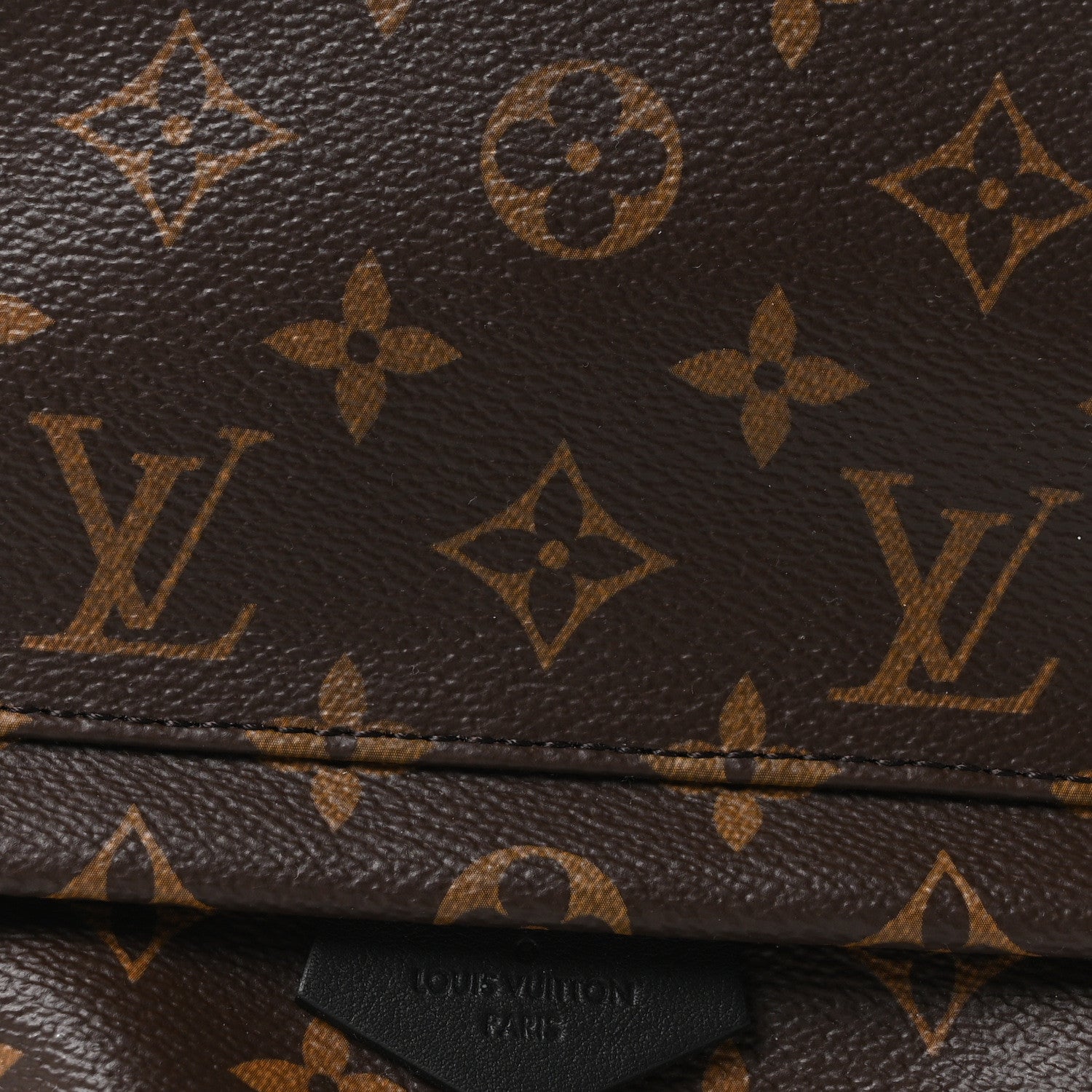 Louis Vuitton Monogram Palm Springs Backpack PM