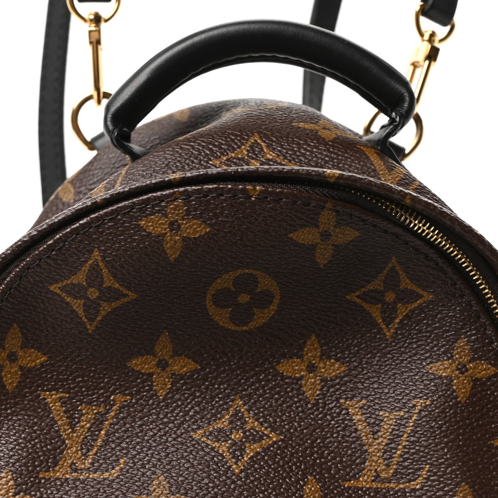 Louis Vuitton Monogram Palm Springs Backpack Mini