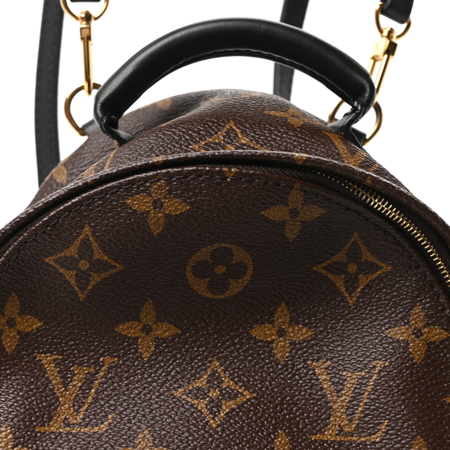 Louis Vuitton Monogram Palm Springs Backpack Mini