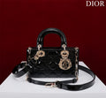 Dior Bags - 2046
