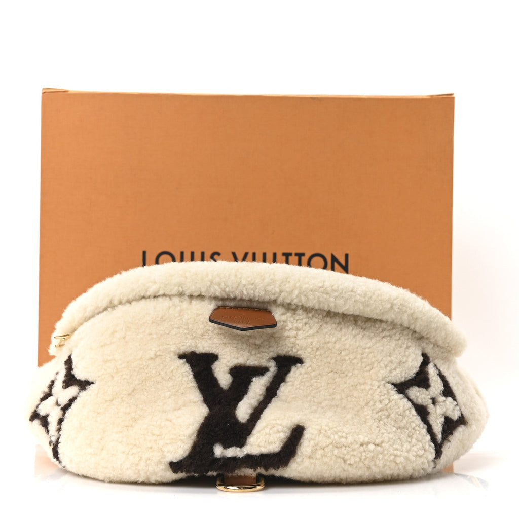 Louis Vuitton Monogram Teddy Bumbag