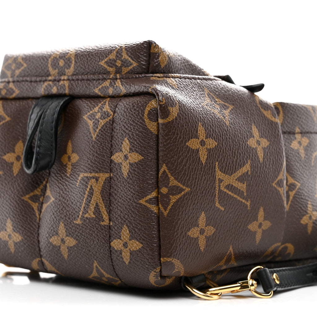 Louis Vuitton Monogram Palm Springs Backpack Mini