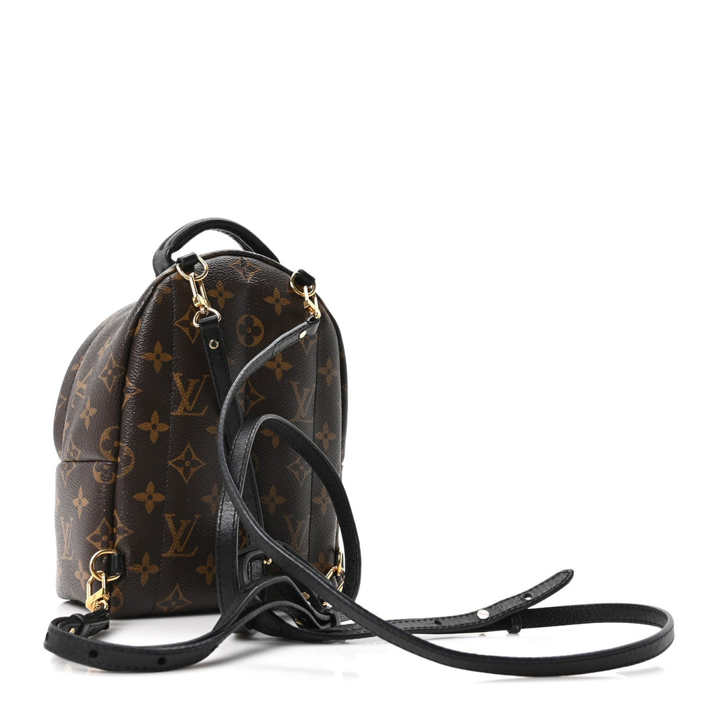 Louis Vuitton Monogram Palm Springs Backpack Mini