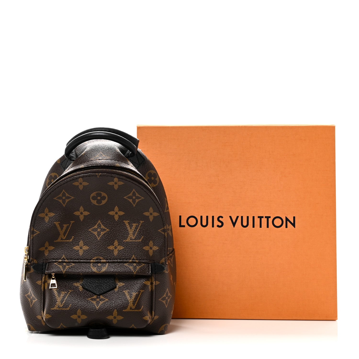 Louis Vuitton Monogram Palm Springs Backpack Mini