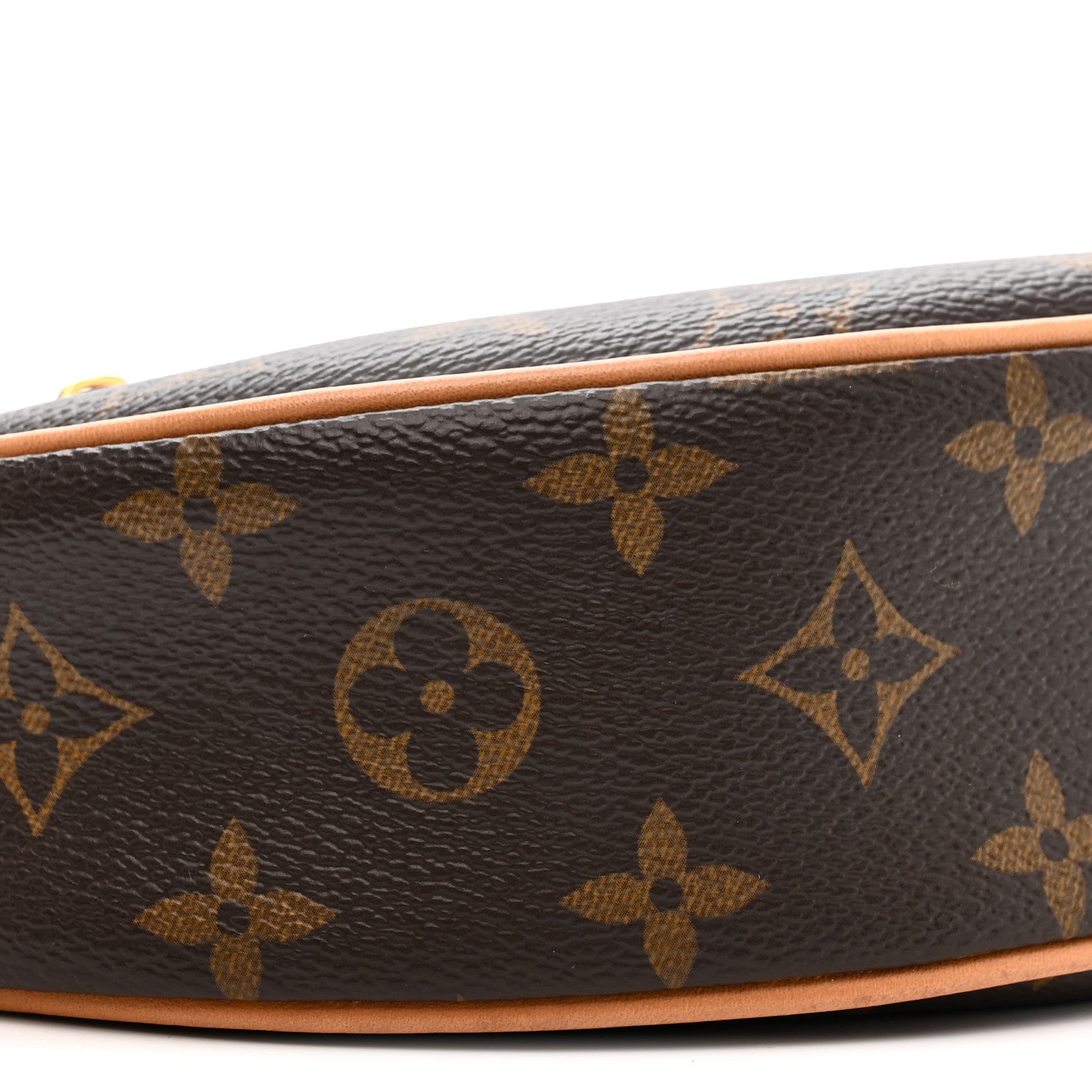 Louis Vuitton Monogram Loop