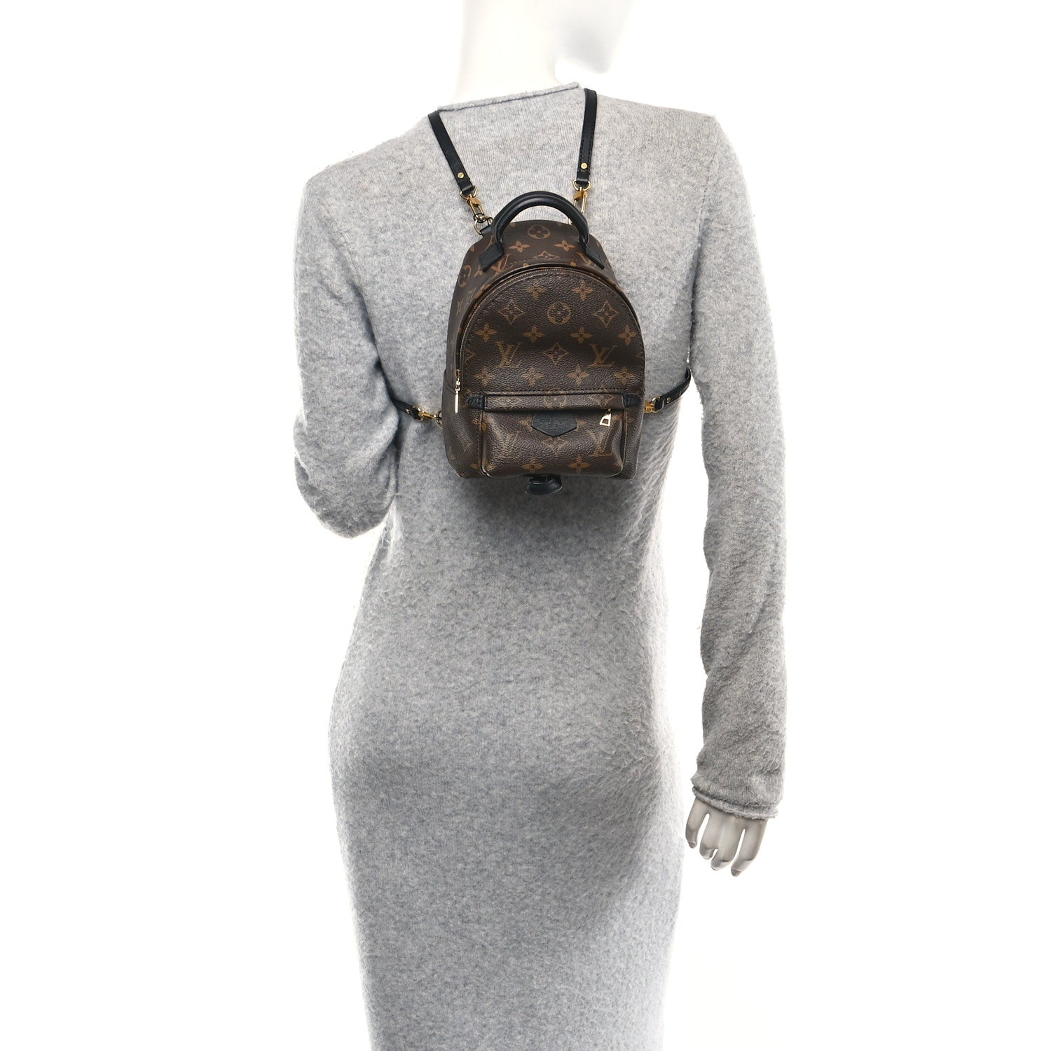 Louis Vuitton Monogram Palm Springs Backpack Mini