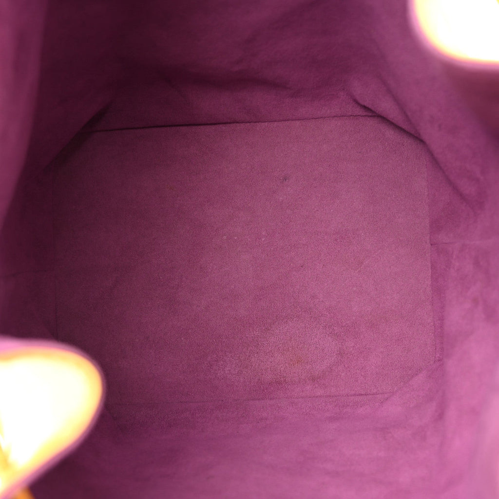 Louis Vuitton Epi Petit Noe Tassil