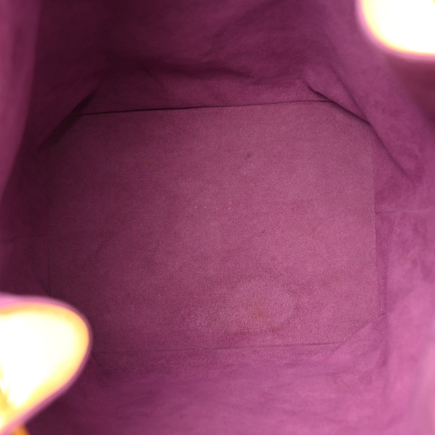 Louis Vuitton Epi Petit Noe Tassil