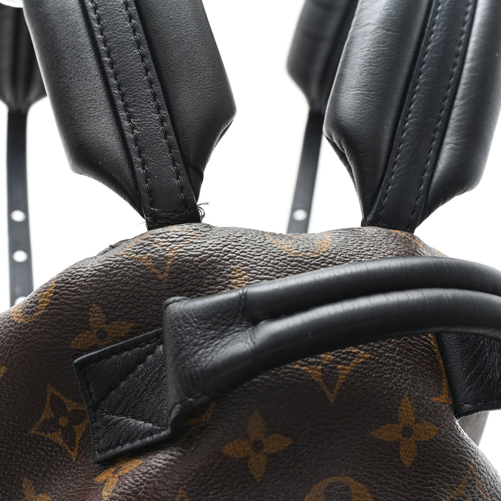 Louis Vuitton Monogram Palm Springs Backpack PM