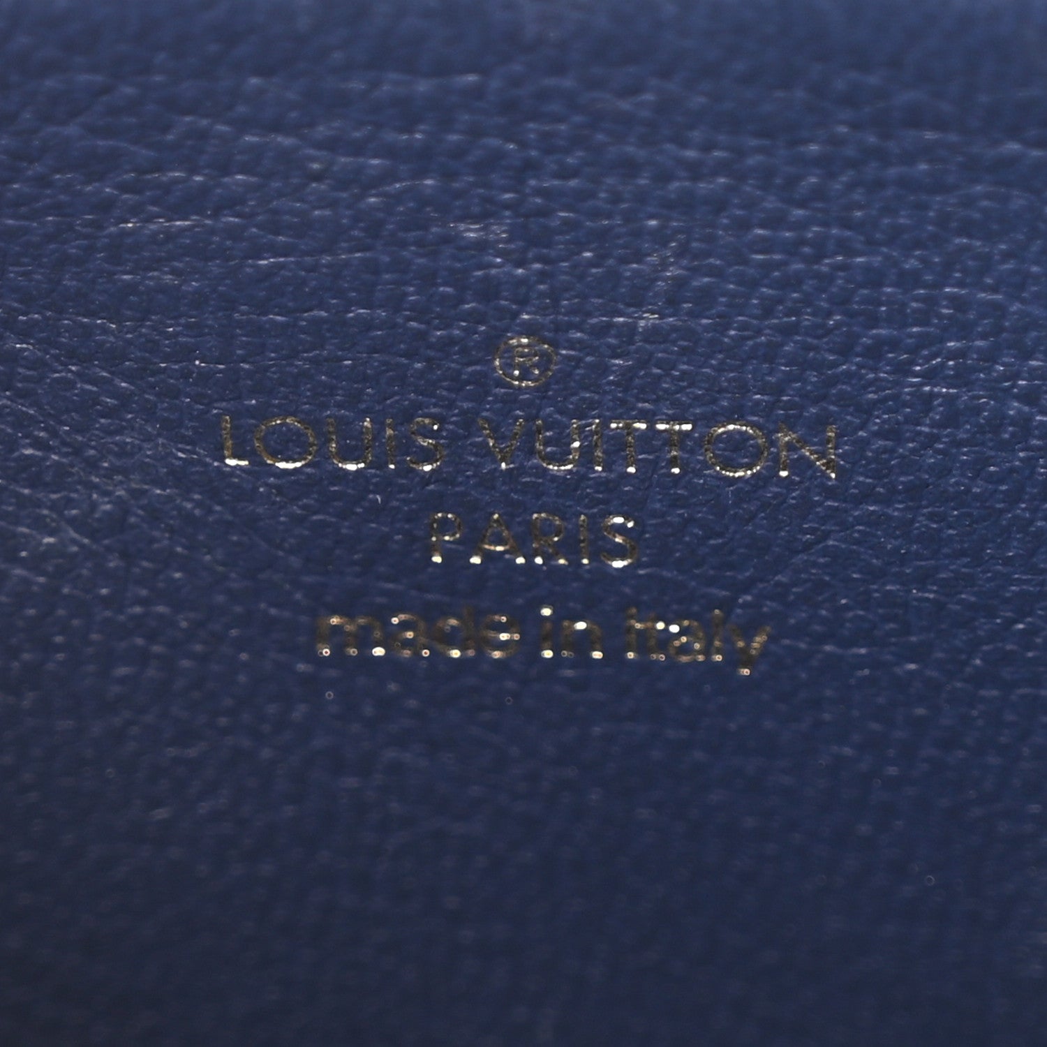 Louis Vuitton Lambskin Embossed Monogram Coussin PM Camel