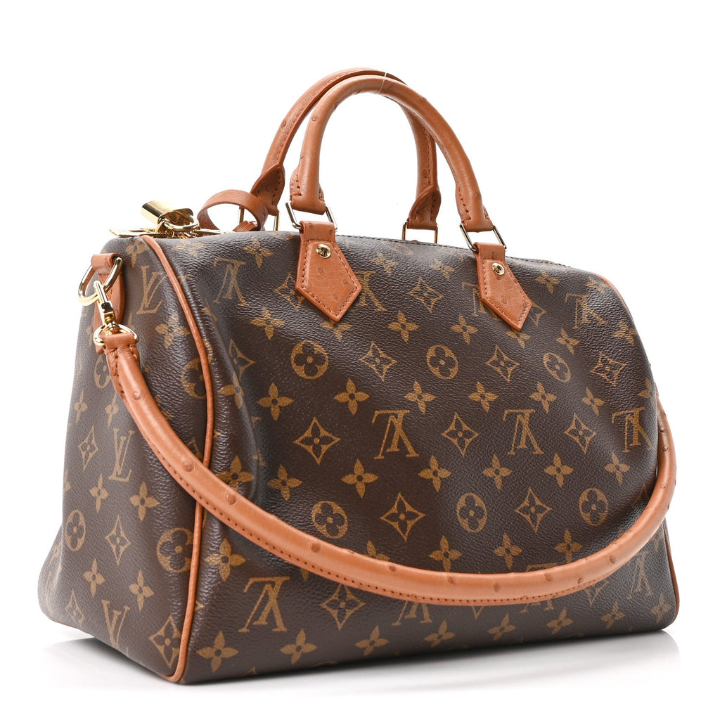 Louis Vuitton Monogram Speedy Soft 30 Boho