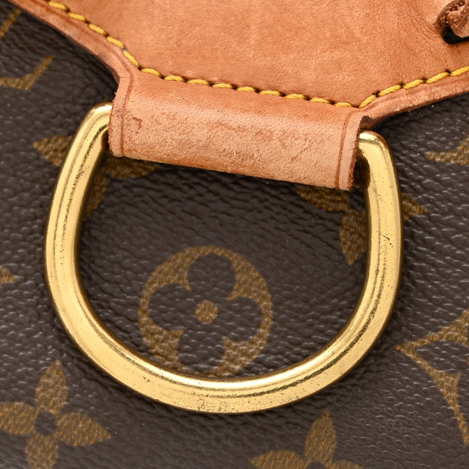 Louis Vuitton Monogram Montsouris MM Backpack