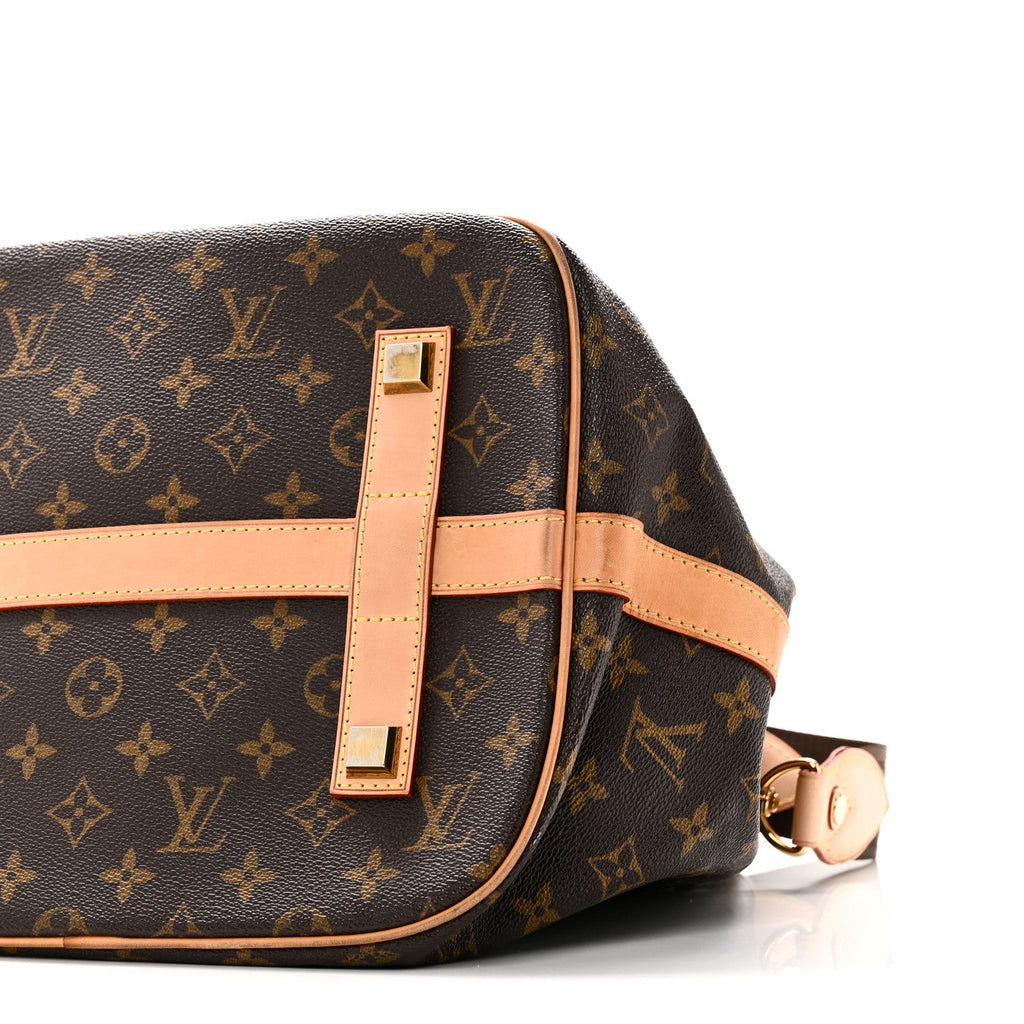 Louis Vuitton Monogram Neo