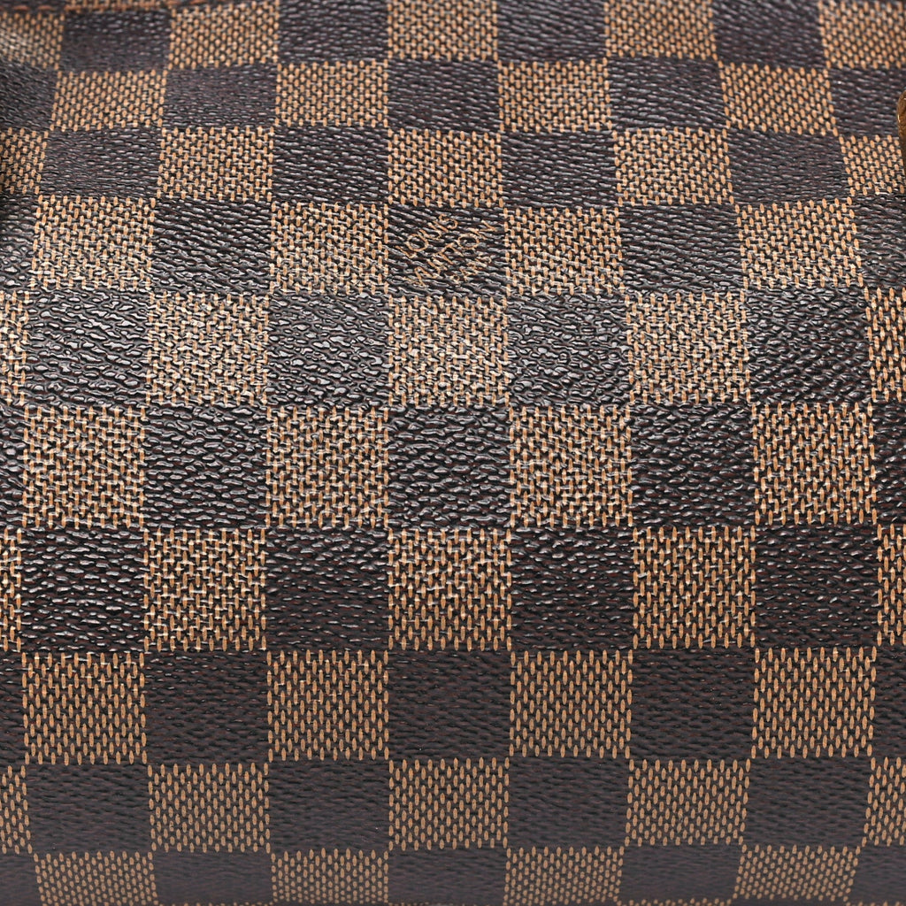 Louis Vuitton Damier Ebene Papillon 30 With Companion