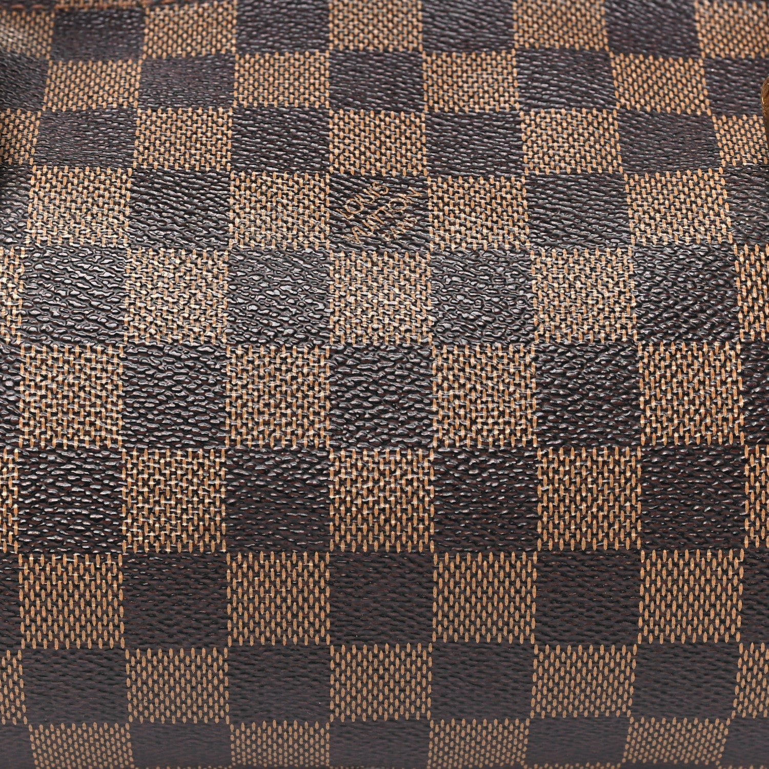 Louis Vuitton Damier Ebene Papillon 30 With Companion