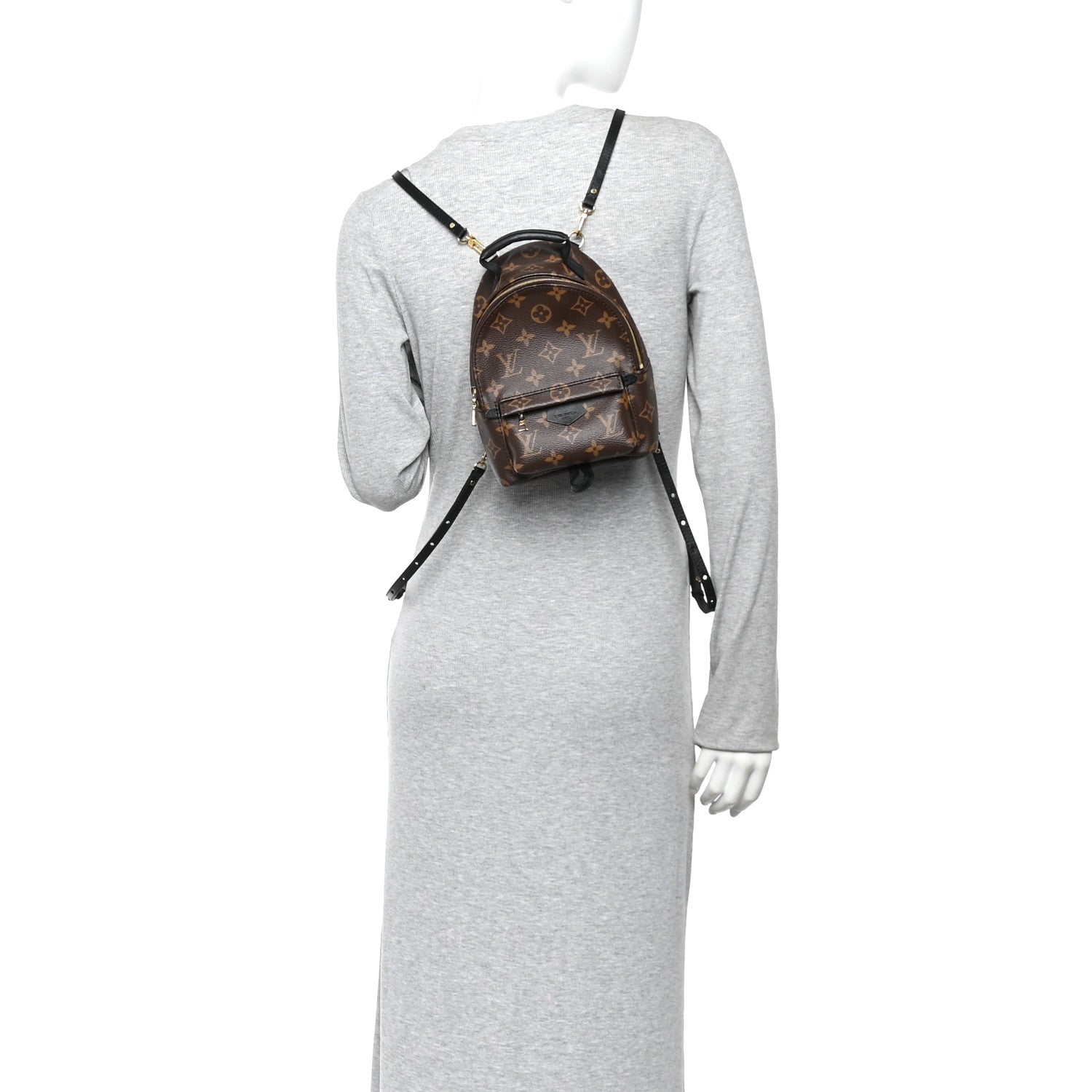 Louis Vuitton Monogram Palm Springs Backpack Mini