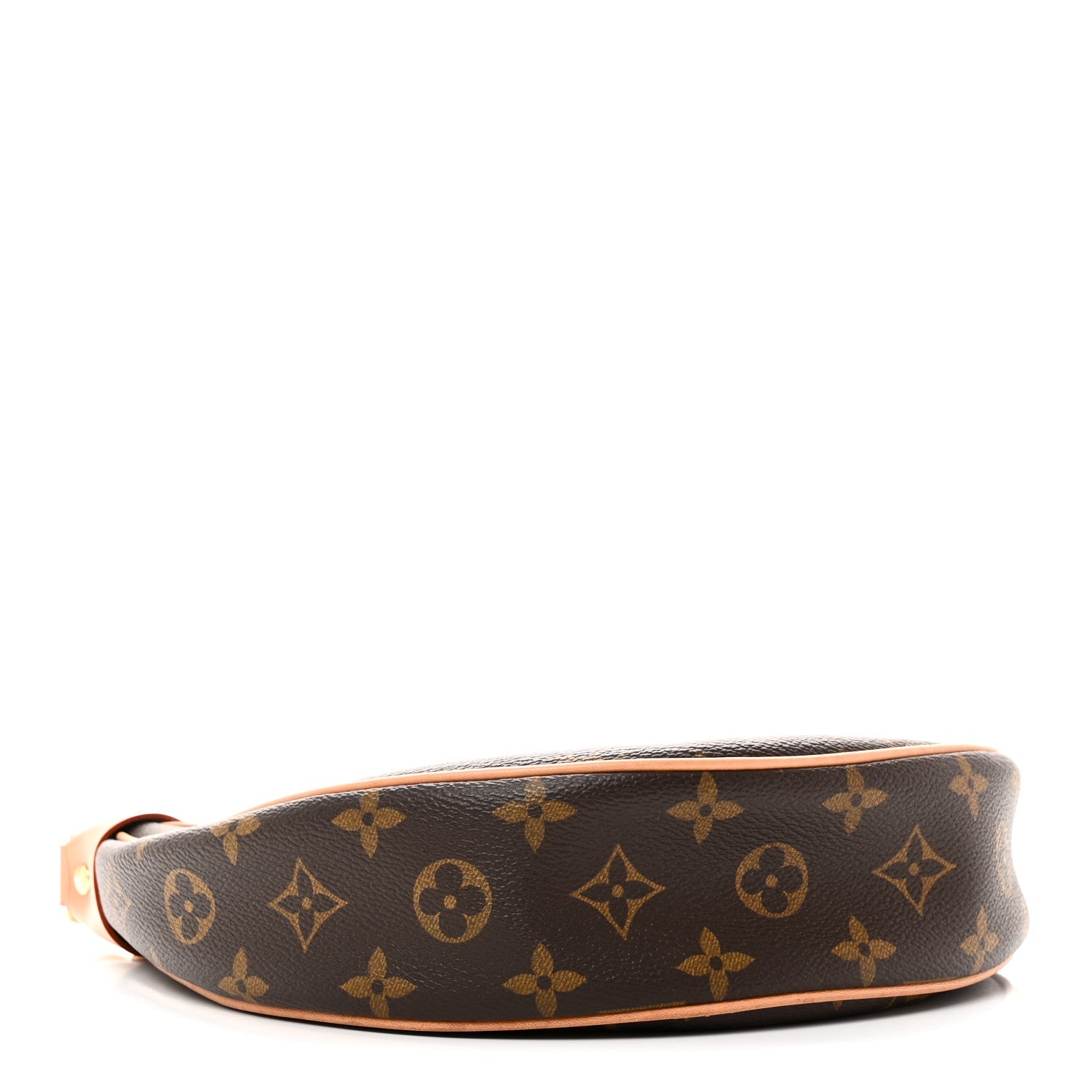 Louis Vuitton Monogram Loop