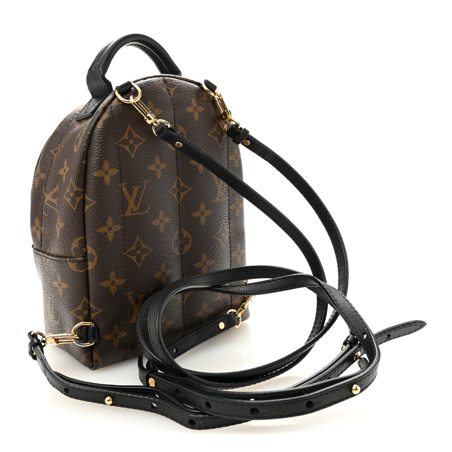 Louis Vuitton Monogram Palm Springs Backpack Mini