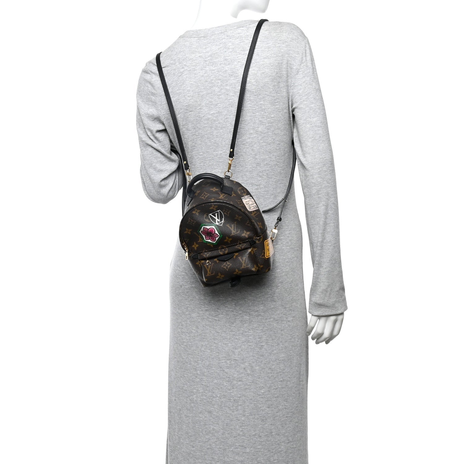 Louis Vuitton Monogram My World Tour Palm Springs Backpack Mini