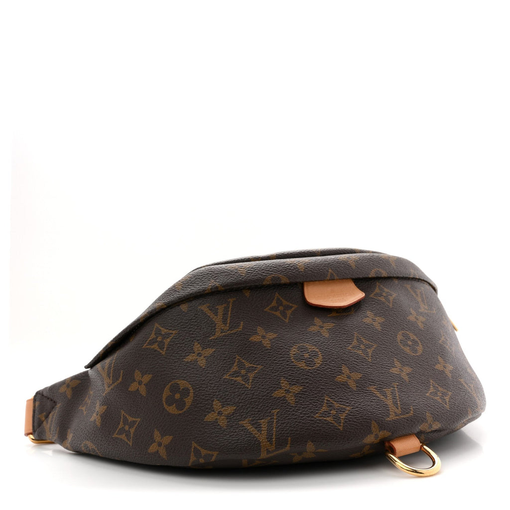 Louis Vuitton Monogram Bumbag