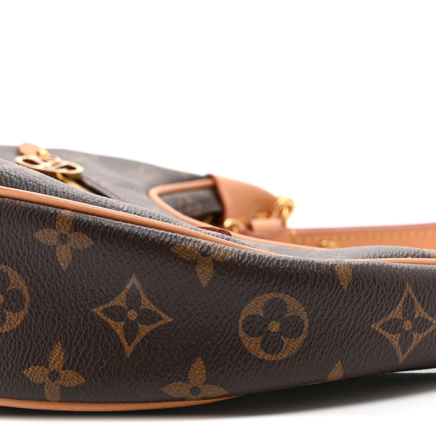 Louis Vuitton Monogram Loop