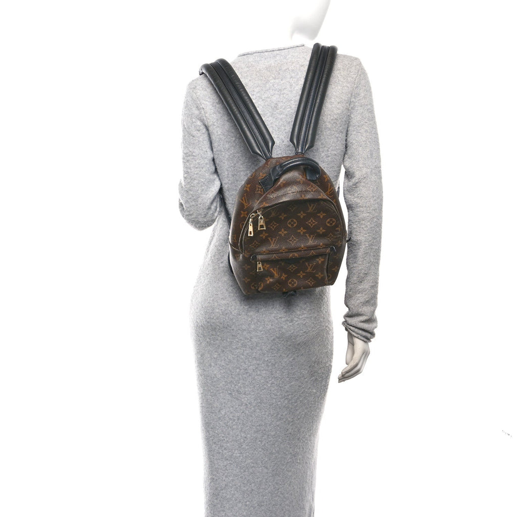 Louis Vuitton Monogram Palm Springs Backpack PM