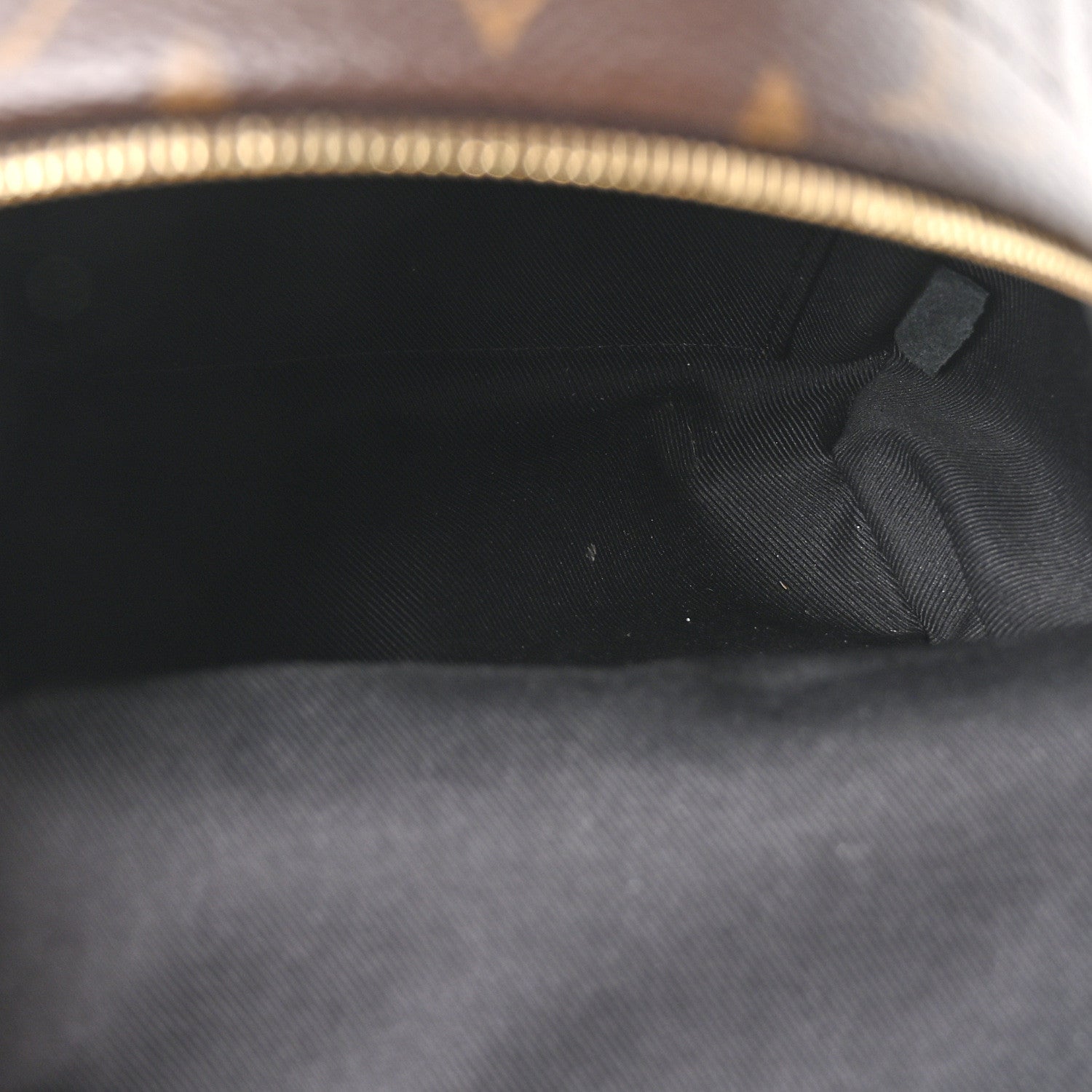 Louis Vuitton Monogram Palm Springs Backpack Mini