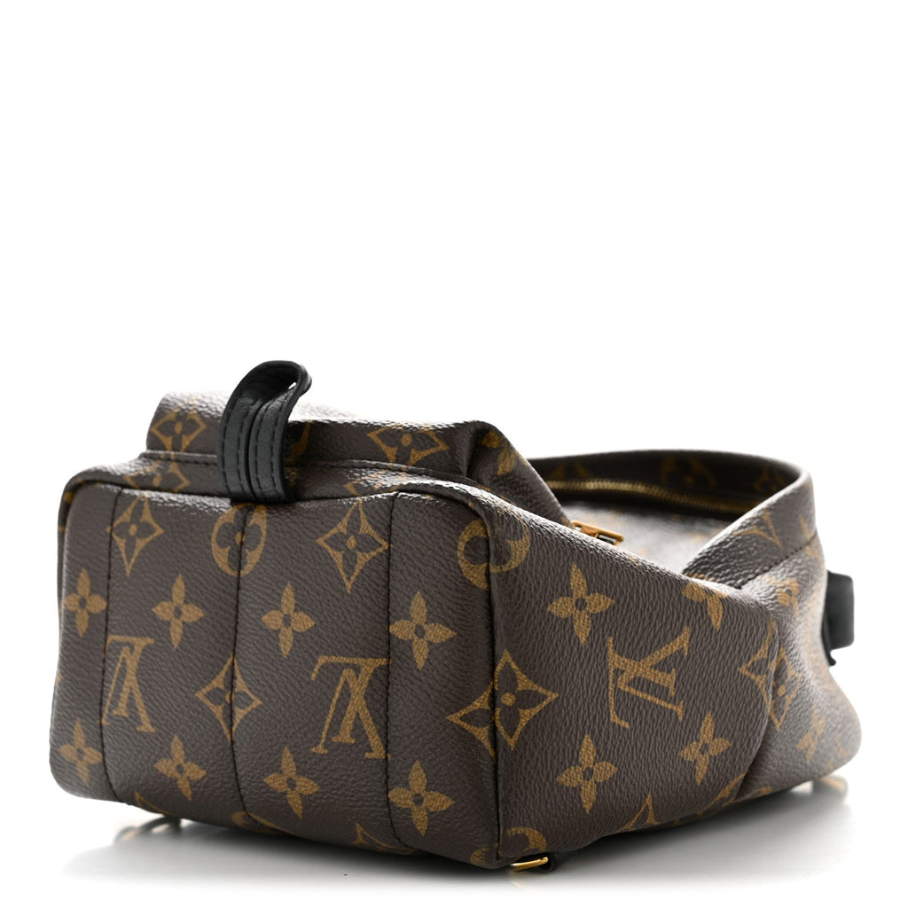 Louis Vuitton Monogram Palm Springs Backpack Mini