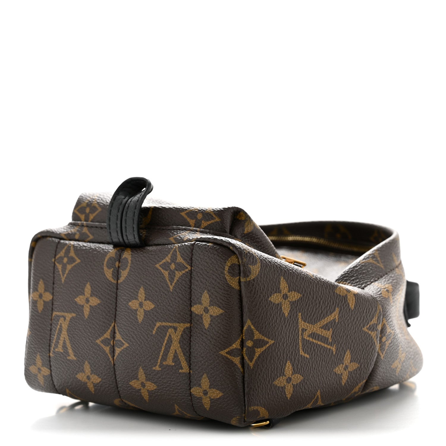 Louis Vuitton Monogram Palm Springs Backpack Mini