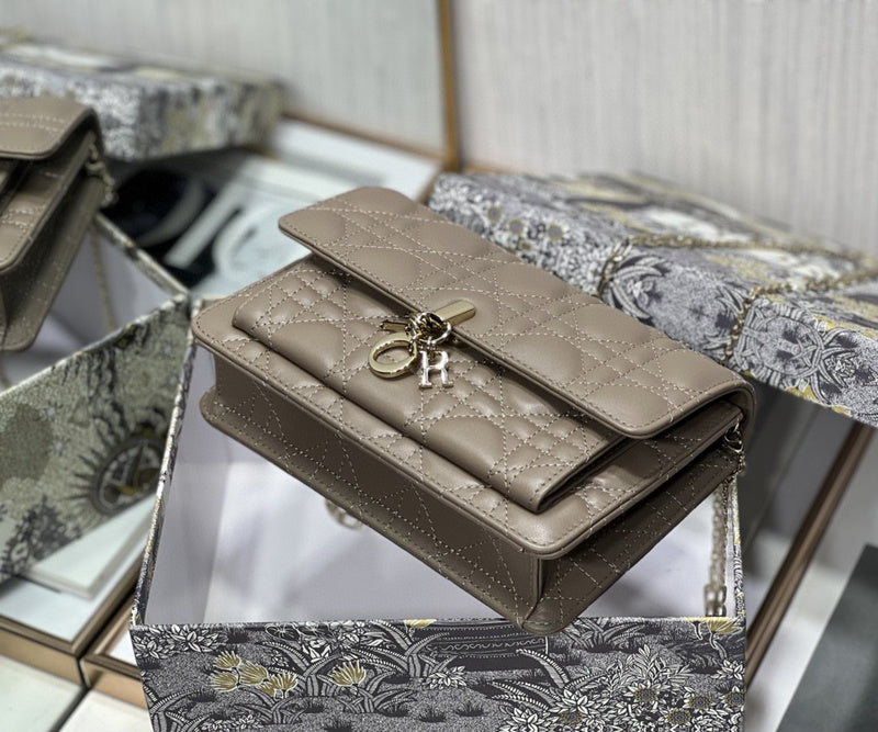 Dior Bag